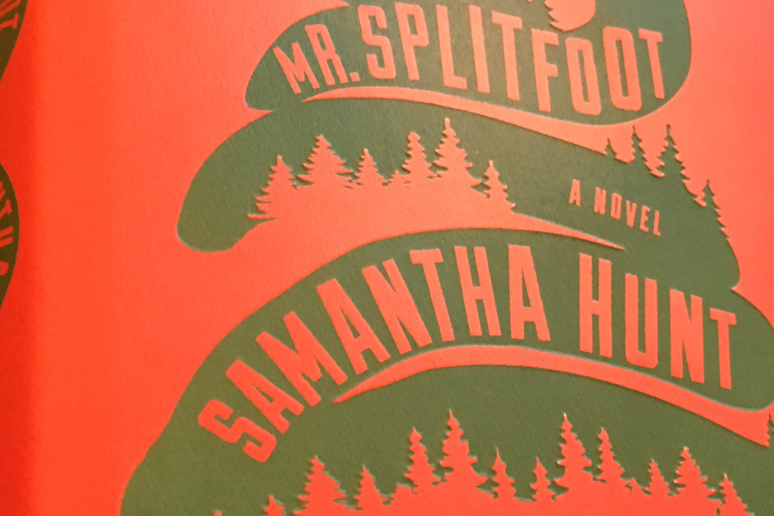 cover of book Mr Splitfoot red background with green snake and